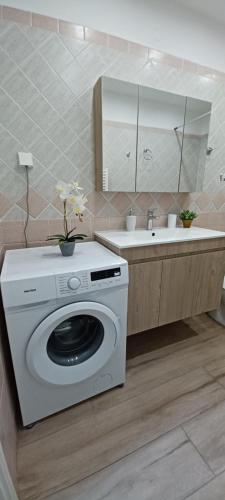 a bathroom with a washing machine and a sink at Garden Seaview Luxury Apartment in Mytilini