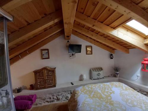 Villavieja del Lozoya的住宿－Casita con encanto tranquilidad VILLAVIEJA DEL LOZOYA Wi-Fi No fumador EN SIERRA DE MADRID Y A 40 M DE CAPITAL，一间带一张床的卧室,位于带木制天花板的房间内