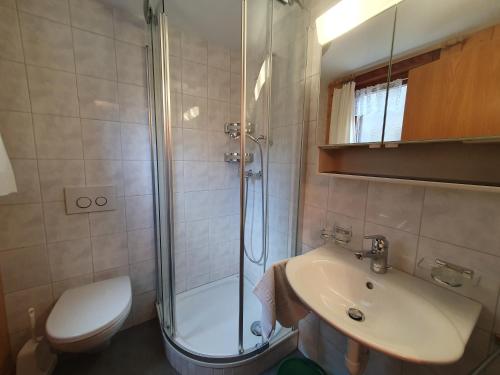a bathroom with a shower and a sink and a toilet at Gadä 2 in Reckingen - Gluringen