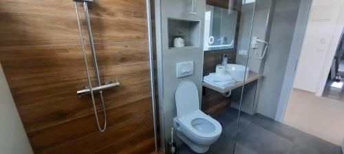 ein Bad mit einem WC, einer Dusche und einem Waschbecken in der Unterkunft Apartments Mite in Ohrid