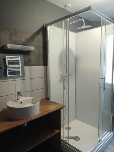 y baño con lavabo y ducha acristalada. en Appart 3 chambres, en Noyen-sur-Sarthe
