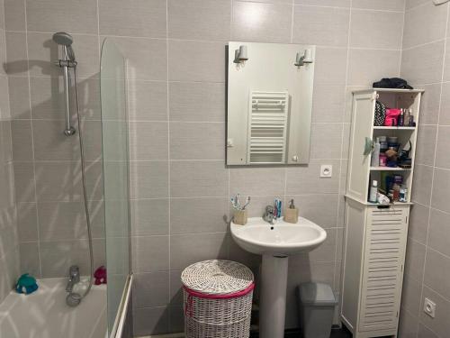 W łazience znajduje się umywalka i prysznic. w obiekcie Appartement vue montagne w mieście Saint-Jeoire-Prieuré