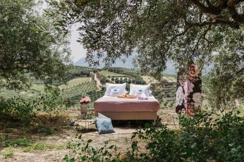a bed sitting in the middle of a field at Star Sleep Kalesia Heraklion in Heraklio Town
