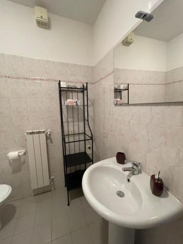 y baño blanco con lavabo y ducha. en A Casa Di Silvia, en Gambassi Terme