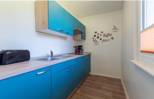una cocina con armarios azules y fregadero en F-1108 Häuser Prosnitz Haus16 Terrasse, Gartennutzung, en Gustow