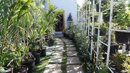 un camino a través de un invernadero lleno de plantas en macetas en Whiteflower Resort Morjim en Morjim
