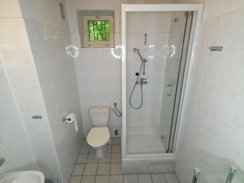 uma casa de banho com um chuveiro, um WC e um lavatório. em Lipowy Przylądek- Domek 12 