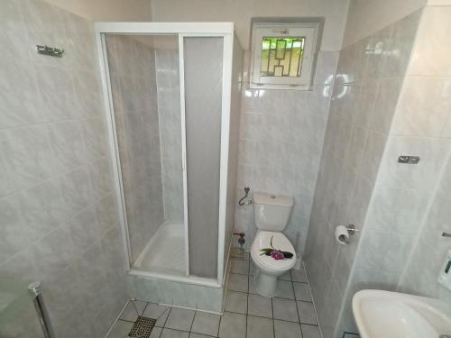 a bathroom with a shower and a toilet and a sink at Lipowy Przylądek- Domek 13 
