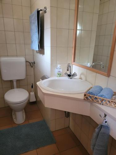 a bathroom with a sink and a toilet and a mirror at Haus Waldviertel am Herrensee in Litschau