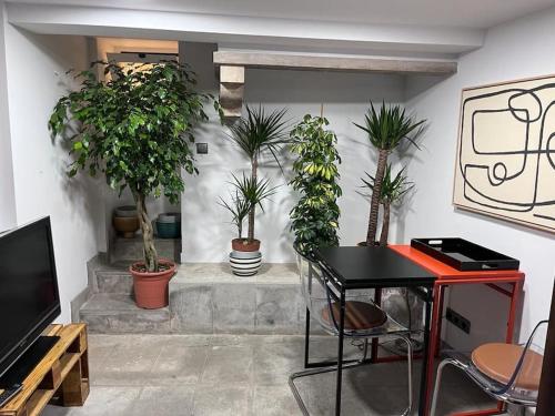 een kamer met potplanten, een tafel en een tv bij Cozy Duplex Príncipe Real in Lissabon