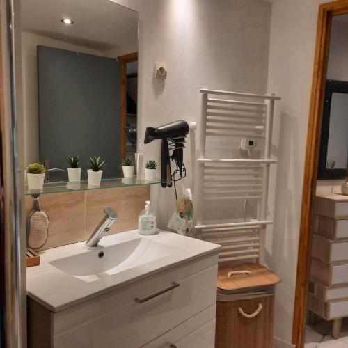 a bathroom with a sink and a mirror at Gîte Saint Sauveur in Brévilly
