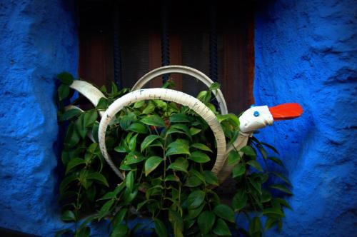 a basket with a bird on it next to a plant at Alojamiento Rural El Brazal in Lanjarón