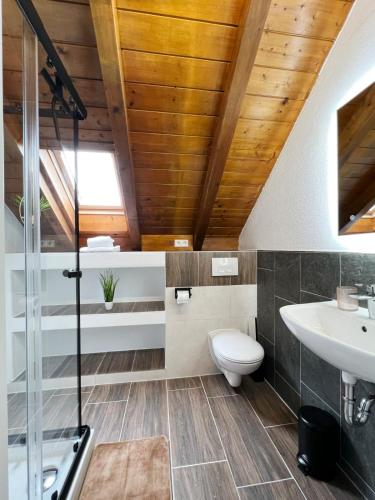 a bathroom with a toilet and a sink at Haus Uhlennest in Ühlingen-Birkendorf