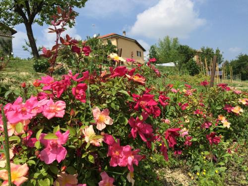 Ein Garten an der Unterkunft Cascina Vicentini