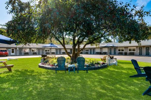 a park with chairs and a tree in the grass at Top Notch Inn in Gorham