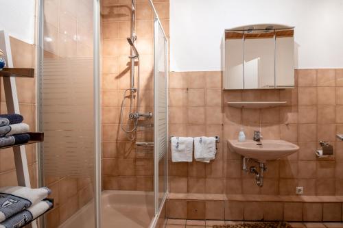 a bathroom with a shower and a sink at Liebevoll hinterm Deich - Ferienwohnungen in Lehe