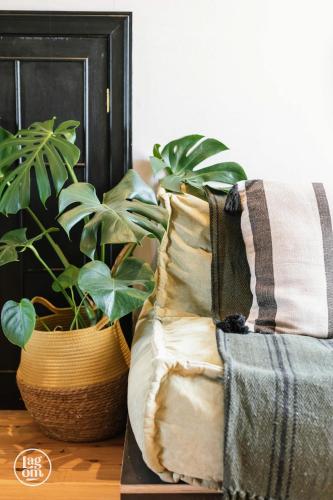a couch with two potted plants on a table at Gather - STAY LAGOM in Ballycastle