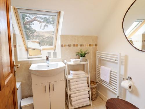 uma casa de banho com um lavatório e um espelho em Ysgubor Craig Y Gronfa em Machynlleth