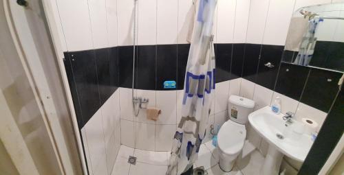 y baño con ducha, aseo y lavamanos. en Apartamento Bonito, en Tiflis