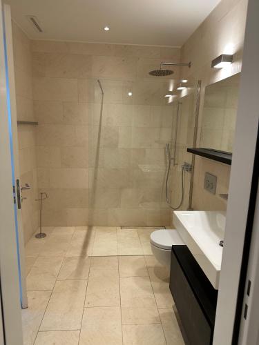 a bathroom with a shower and a toilet and a sink at Wohnung im Trendquartier zentral - 24-7 check-in with keybox in Zurich