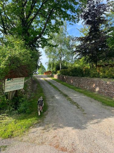 Agroturystyka Lucyna Babińska