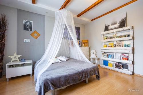 貝斯奇察克沃茲卡的住宿－Dom Artysty, MyWeek，一间卧室配有一张带蚊帐的床