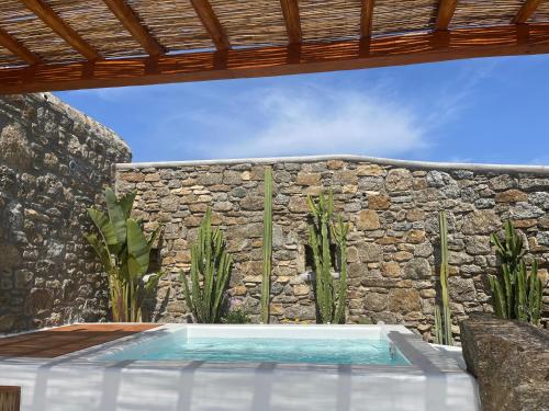 Πισίνα στο ή κοντά στο Teal Rock Mykonos