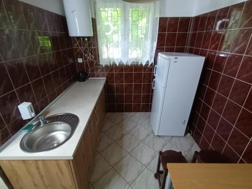 ein kleines Bad mit einem Waschbecken und einem Kühlschrank in der Unterkunft Lipowy Przylądek- Domek 21 