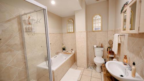 a bathroom with a shower and a toilet and a sink at The Lazy Expat in Paarl