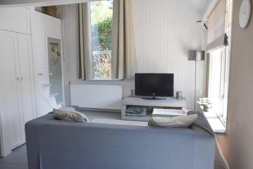 a living room with a blue couch and a television at Cosy forest hideout @ Veluwe in Putten