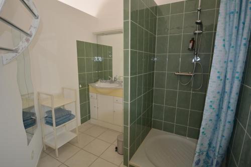 een badkamer met een douche en een wastafel bij Studio au coeur d'un jardin reposant in Saint-Thibéry