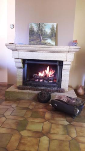 une cheminée dans un salon avec un feu dans l'établissement Gite l ecureuil, à Saint-Nectaire