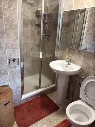 a bathroom with a shower and a toilet and a sink at Big ensuite bed room in a modern town house in Coundon