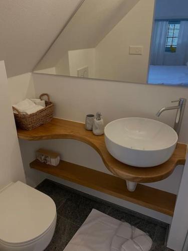 uma casa de banho com um lavatório e um WC em Rustico Leoro em Ponte Brolla