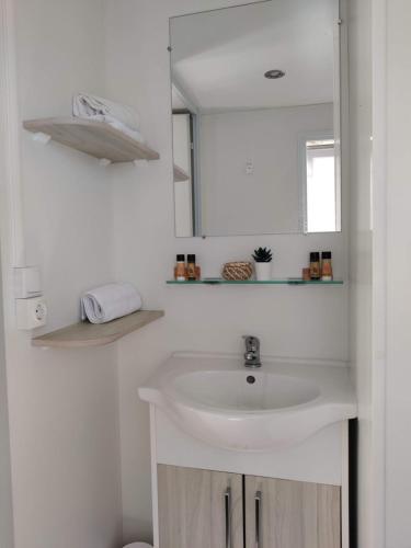 une salle de bain avec un lavabo et un miroir dans l'établissement Mobil Home 6/8 personnes Camping le lac des rêves, à Lattes