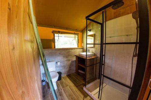 a bathroom with a toilet and a glass shower at Camping et Lodges de Coucouzac in Lagorce