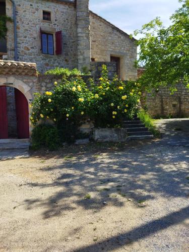 Un bâtiment avec un bouquet de fleurs jaunes devant lui dans l'établissement mas cevenol, à Rosières