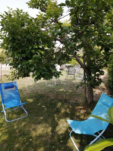 Κήπος έξω από το Agriturismo Nuvolino