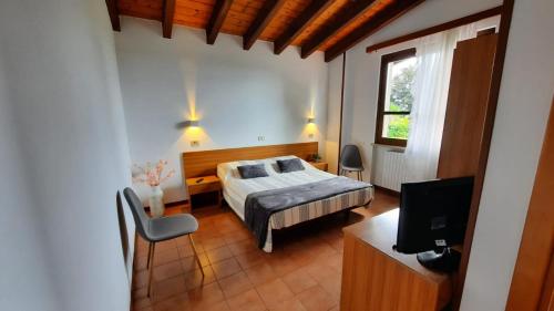 Dormitorio con cama, escritorio y TV en Elisa Holidays, en Puegnago sul Garda