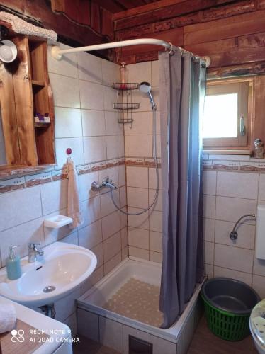 a bathroom with a shower and a sink at Imanje Jelaš in Slunj