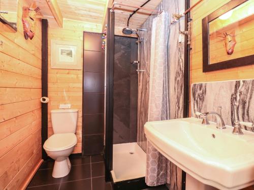 a bathroom with a toilet and a sink and a shower at Dart View Hideout in Totnes