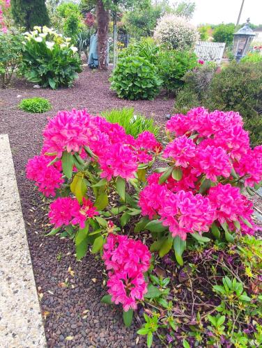Photo de la galerie de l'établissement Chambres Le Mans 24 heures, à Arnage