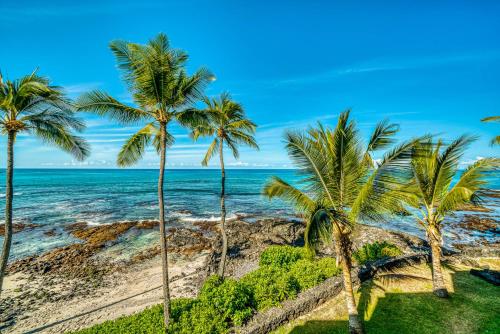a group of palm trees on the beach at Kona Bali Kai #418 in Kailua-Kona