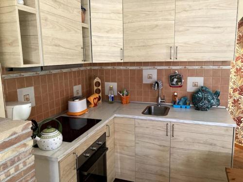 uma cozinha com armários de madeira e um lavatório em Grazioso mini appartamento a Roma em Roma