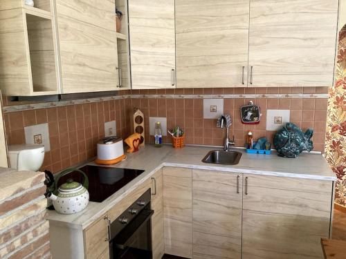 a kitchen with wooden cabinets and a sink at Grazioso appartamento tra Roma e il mare in Rome