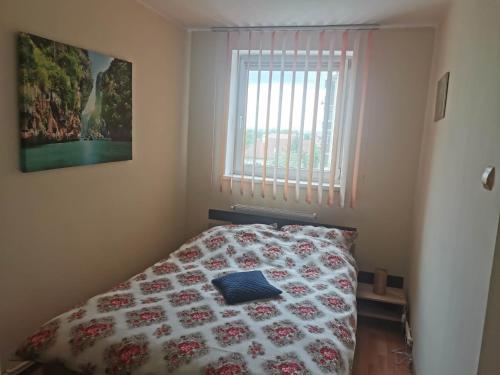 Un dormitorio con una cama con una manta floreada y una ventana. en Milan's Apartment, en Miercurea-Ciuc