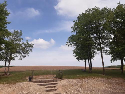 a set of stairs in a field with trees at Gîte du Chalet - Le studio en pleine nature in Seuzey