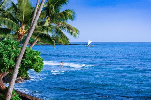 Fotografie z fotogalerie ubytování Kona Bali Kai #265 v destinaci Kailua-Kona
