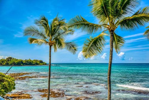 Fotografie z fotogalerie ubytování Kona Bali Kai #265 v destinaci Kailua-Kona