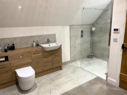 a bathroom with a toilet and a sink and a shower at Cosy luxury 3 bed cottage in The Surrey Hills in Ockley